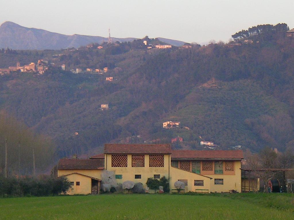 Il Chicco D'Oro Apartman Massarosa Kültér fotó